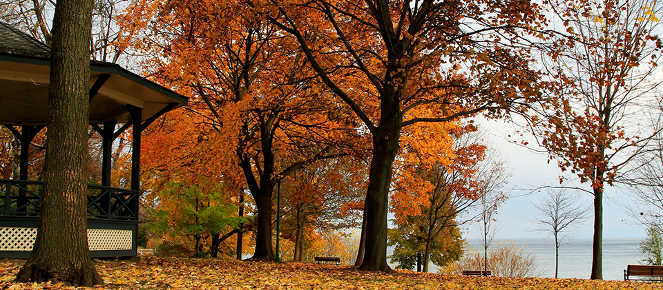 Autumn view of Coronation Park near Riverview South Oakville